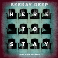 Here To Stay - Single - BeeKay Deep