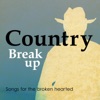 Willie Nelson - Crying (feat. Waylon Jennings)