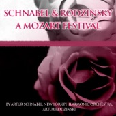 Serenade No. 13, in G, KV 525, "Eine Kleine Nachtmusik": I. Allegro artwork