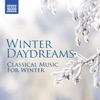 Winter Daydreams - Classical Music for Winter artwork