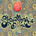 Sunny Day Souldier