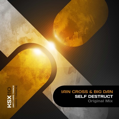 Self Destruct - Single