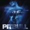 Took My Love (feat. Red Roo, Vein & David Rush) - Pitbull lyrics