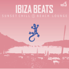 When You Leave (feat. Ann Francis) - Schwartz & Funk