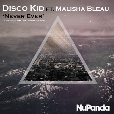 Never Ever (feat. Malisha Bleau) - Single