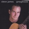 Everything Comes In It's Own Time - Steve James lyrics