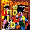 Sint Maarten Liedjes