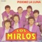La copa rota - Los Mirlos lyrics