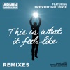 Cover Armin Van Buuren ft.Trevor Guthrie - This Is What It Feels Like