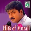 Hits of Murali, 2013