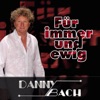 Für immer und ewig (DJ Mix) [Continuous DJ Mix]