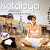 Amor Não É Complicado - Kataleya