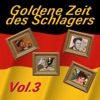 Goldene Zeit des Schlagers, Vol. 3, 2013