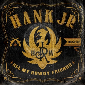 Hank Williams, Jr. - All My Rowdy Friends - 排舞 音樂