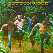 Cottonwood - Passin' Through