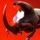 Album cover of Toro Rojo by Guasones