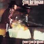 Stevie Ray Vaughan & Double Trouble - Cold Shot