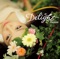 Delight - Single ジャケット写真