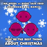 You're the Best Thing About Christmas (Hexachordal Remix) [Mr Weebl vs. Right Said Fred] - Single - Mr Weebl & Right Said Fred