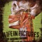 Nicholas Van Orton - Life In Pictures lyrics