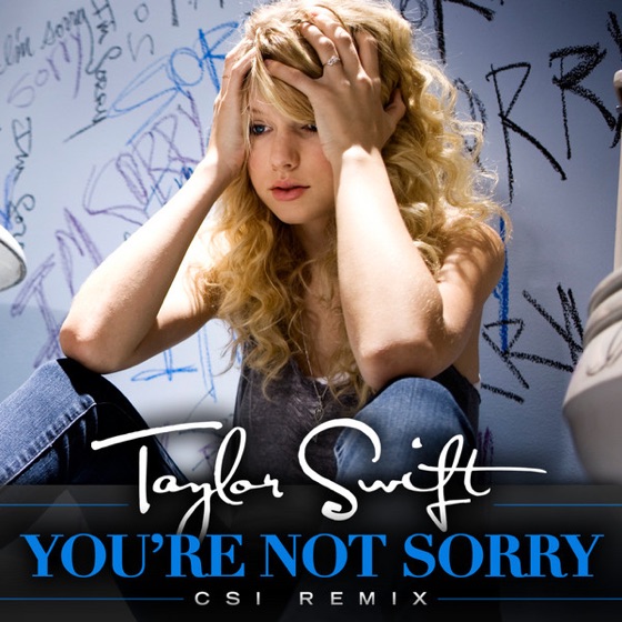 Cover artwork for You're Not Sorry (CSI Remix)