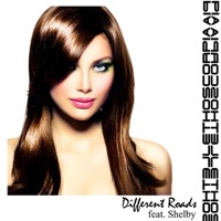 Different Roads (feat. Shelby) - Single - Lethoscorpia