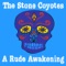 A Deep and Abiding Love - The Stone Coyotes lyrics
