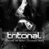 Tritonal - Shapes Revolve (Extended Original Mix)