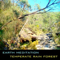 Temperate Rain forest - Earth Meditation