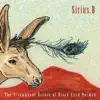 Sirius.B - Belomorkanal