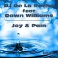 Joy, Pain (Disco House Mix)