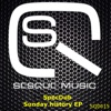 Sunday History (Remixes)