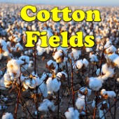 Cotton Fields artwork