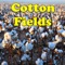 Cotton Fields artwork