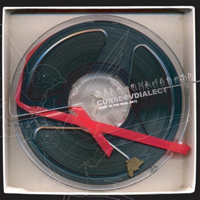 Lost In The Real Sky