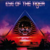 Tiger Tiger - Because of the Night