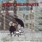 Joost Belinfante - Alpinopet