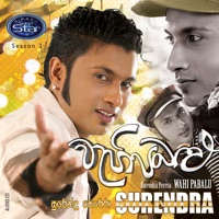 Surendra Perera - Meedum wasanthe  (feat. Amila Nadeeshani)