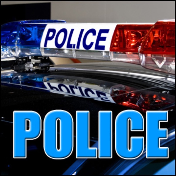 Police Station - Jail Ambience: Large Reverberant Room: Voices, Handcuffs, Chair Scrapes, Emergency, Prison Police Equipment