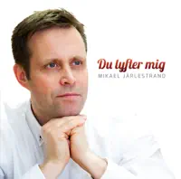 Du lyfter mig (You Raise Me Up) — Johan Bergman, Anders Gustafsson, Mads Kjølby, Mikael Jarlestrand, Kalle Magnusson, Markus Liliequist, Anna Rosen, Emma Ljungberg, Ulrika Martensson, By Grace, Ola Nordqvist, Susanne Holmstrom & Hans Ulrik