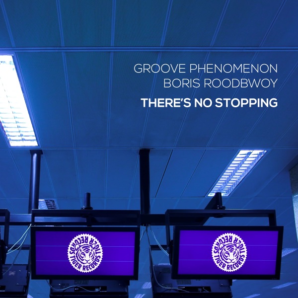 There's No Stoping (Remixes) - Single