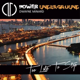 Too Late to Stop (Club Edit) Dwayne Minard