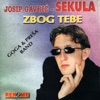 Zbog Tebe (Serbian Music)