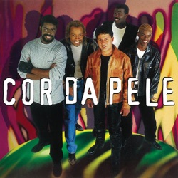 Cor da Pele - Resumo de Félicidade
