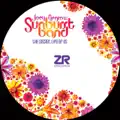 The Secret Life of Us (Director's Cut Signature Mix & CDM Edit)