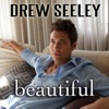 Drew Seeley