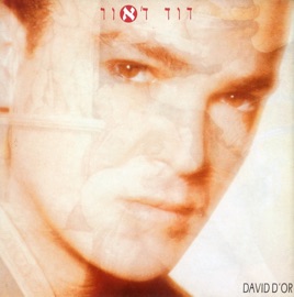 קול מהשמים David D'or