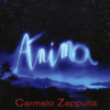 Anima - Carmelo Zappulla new Single