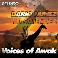 Voices of Awak - Single - Dario Nuñez & Luis Mendez