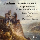 Brahms: Symphony No. 1 in C minor Op. 68: Andante sostenuto artwork